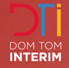 logo dt interim
