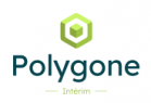 logo polygone intérim