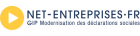 logo net entreprises.fr