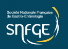 logo SNFGE